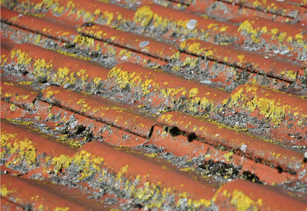 roof cleaning birmingham