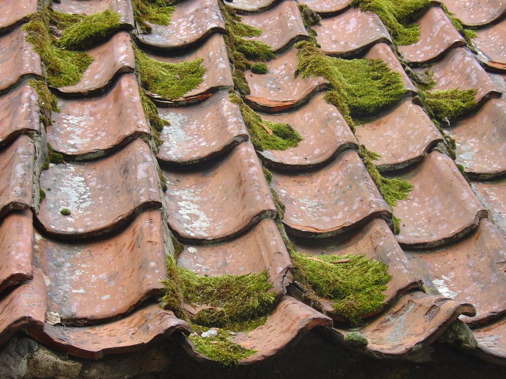 roof cleaning dudley