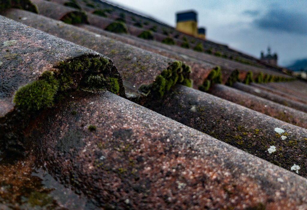 roof cleaning wolverhampton