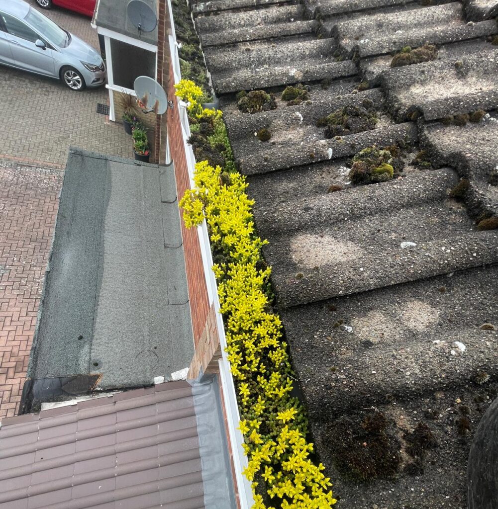 gutter cleaning wolverhampton