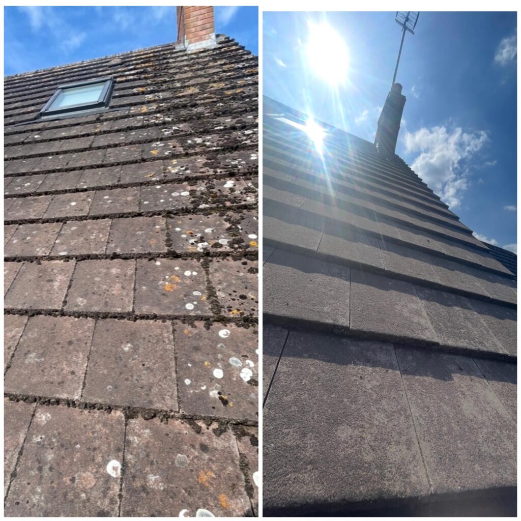 roof cleaning
