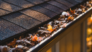 best time to clean gutters